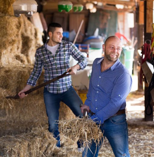 Aliquam ut dictum sapien