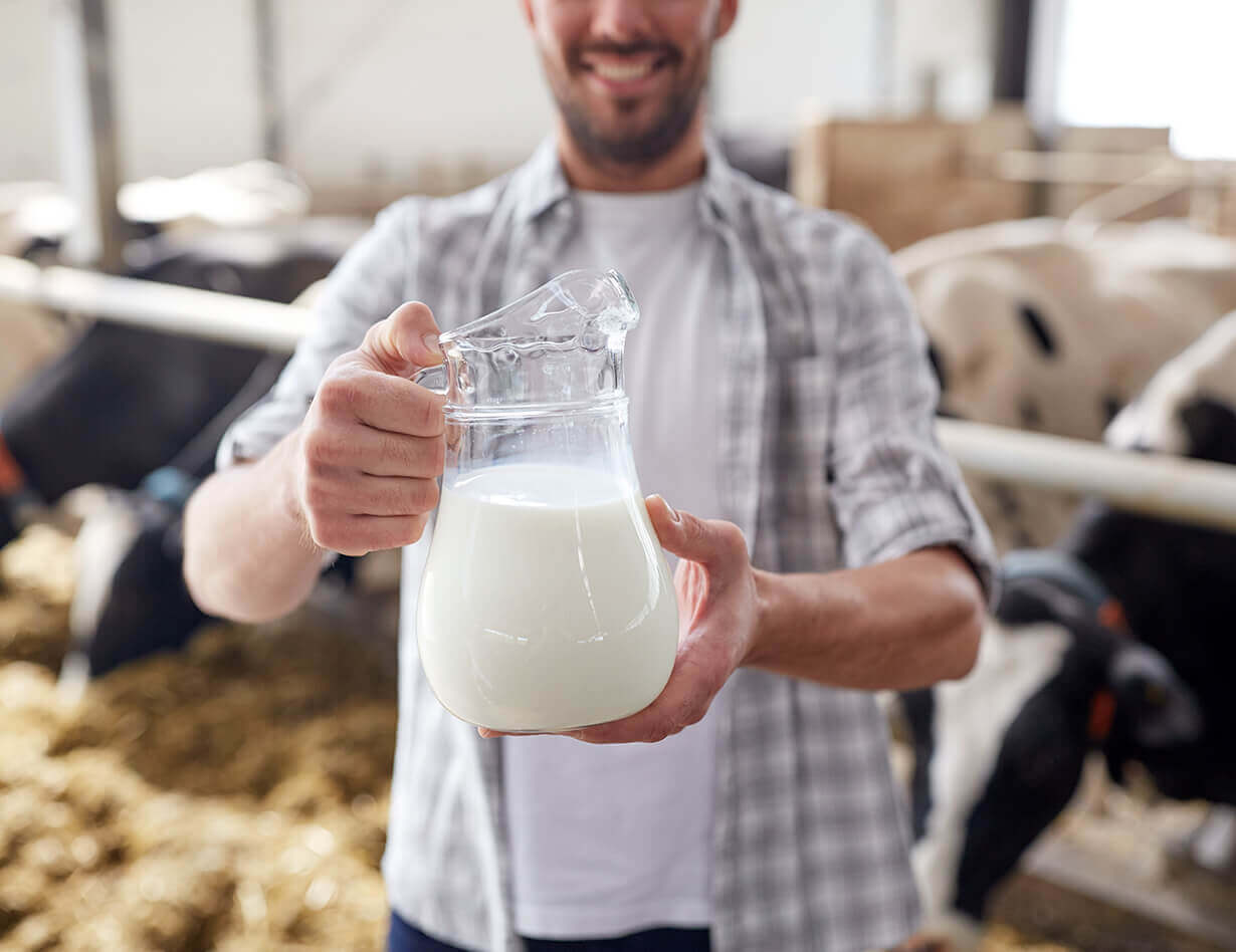 Aenean vitae enim rhoncus